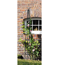 Opora pro popínavé rostliny, pyramida, 200 x 35 x 35 cm